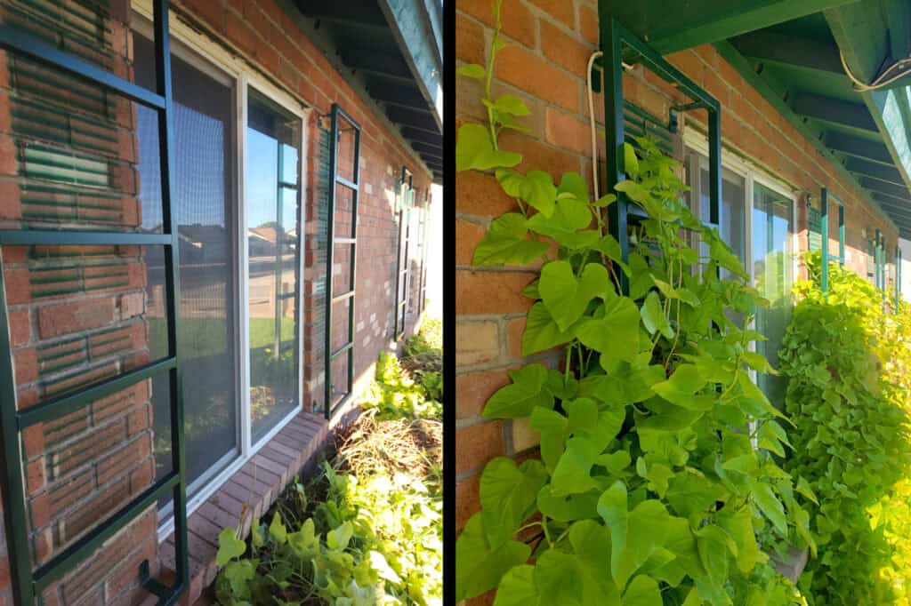 Vine Lattice Panels Custom Welded By Erik Banks