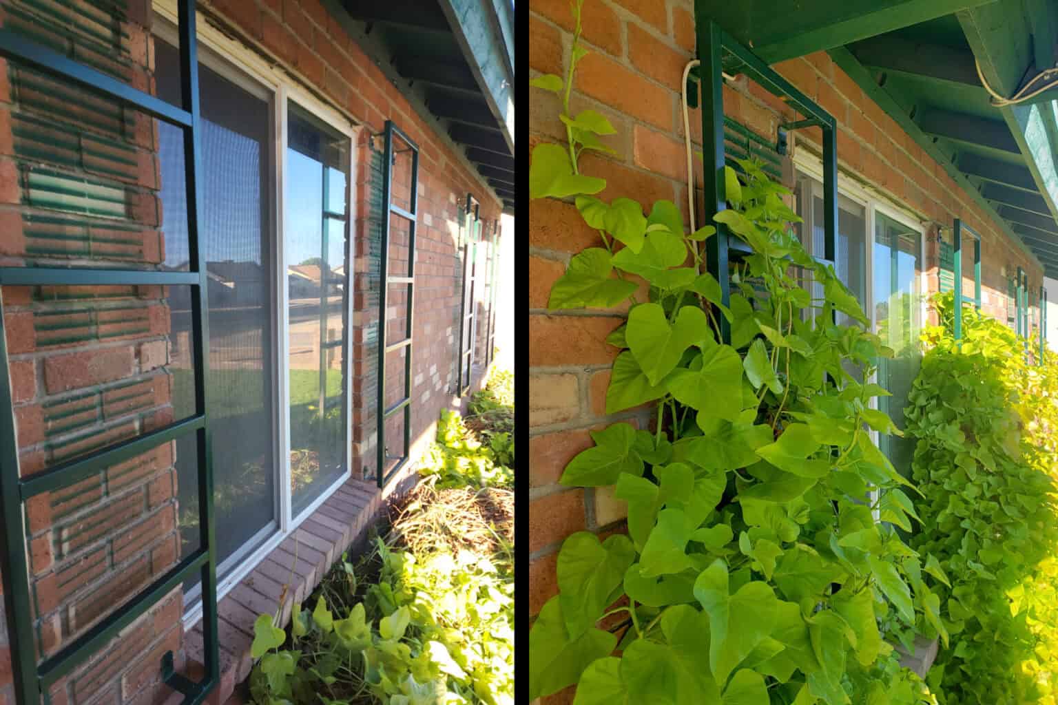 Vine Lattice Panels Custom Welded By Erik Banks